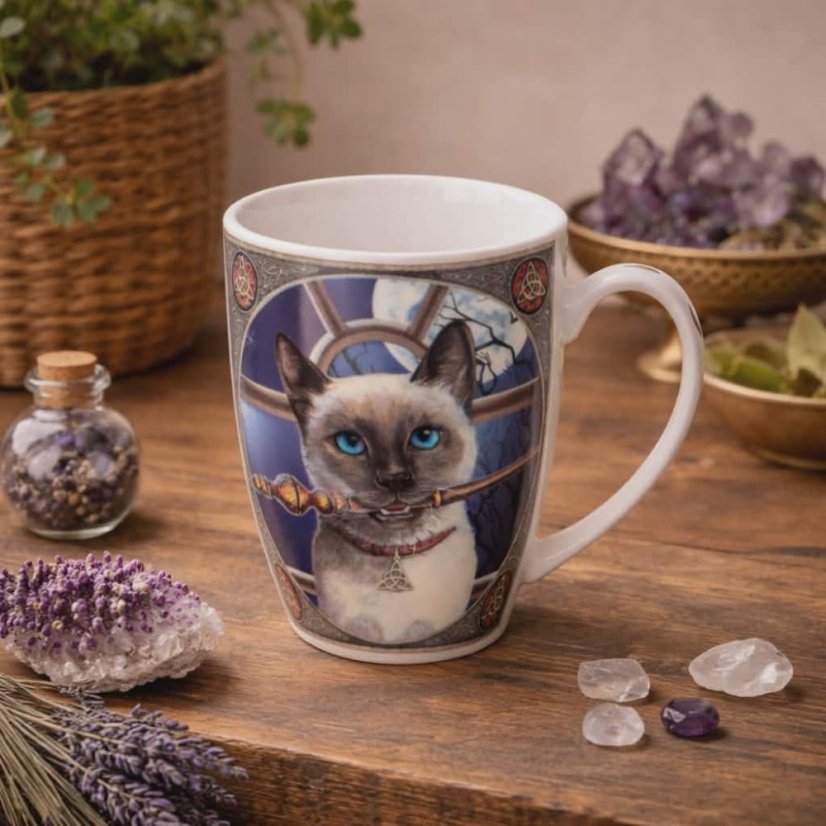 Porcelánový hrnek s kočkou Hokus Pokus v dárkové krabičce