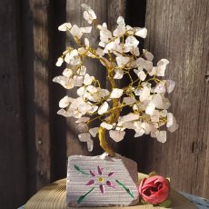 Strom stesti ruzenin 1