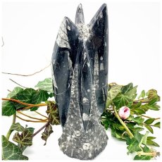 Věžička Orthoceras I– Pravěká fosílie z Maroka