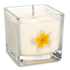 Ekologická svíčka s vůní - Nag Champa.