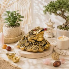 Feng Shui žába zlatá – Soška bohatství a prosperity