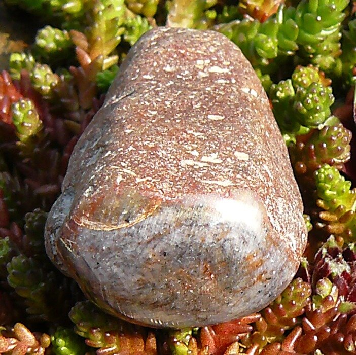 E surovy astericky safir 2 E surovy astericky safir 2