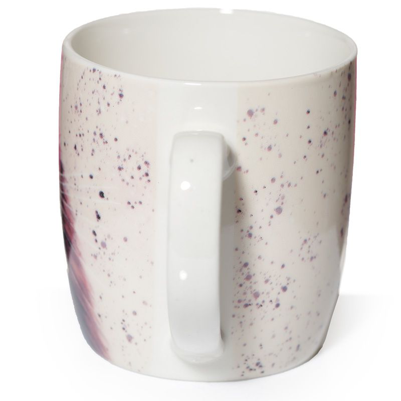 MUG369 004 1613401734