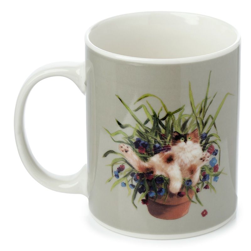 MUG404 001 1664192425