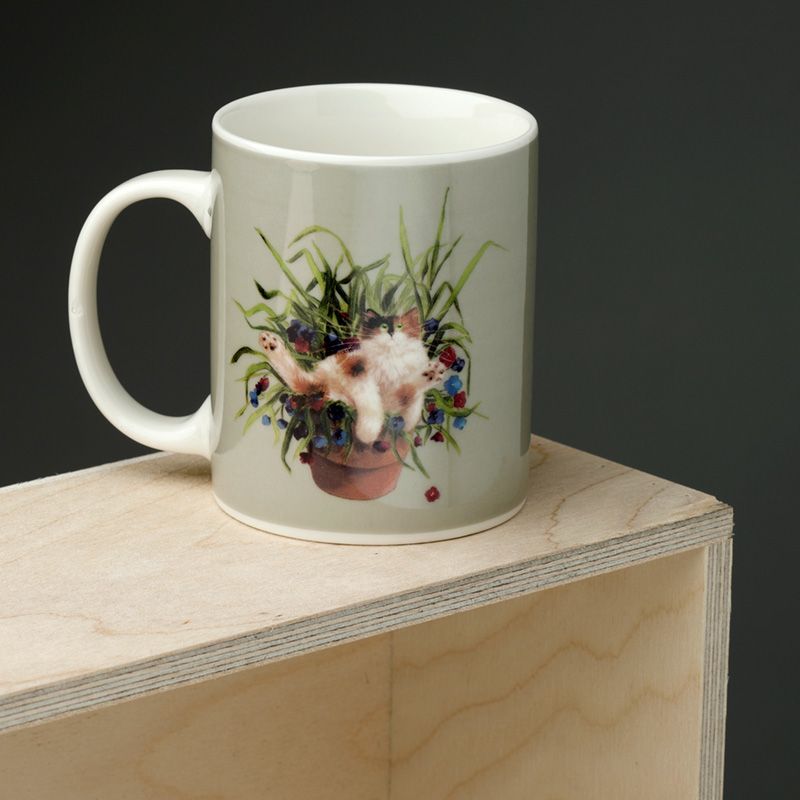 MUG404 002 1664192425