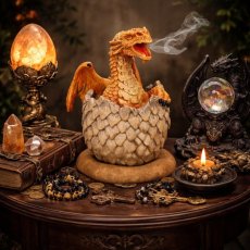 Kadidelnice Dračí mládě - Anne Stokes