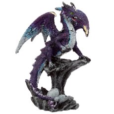 DRG448 002 1599511841