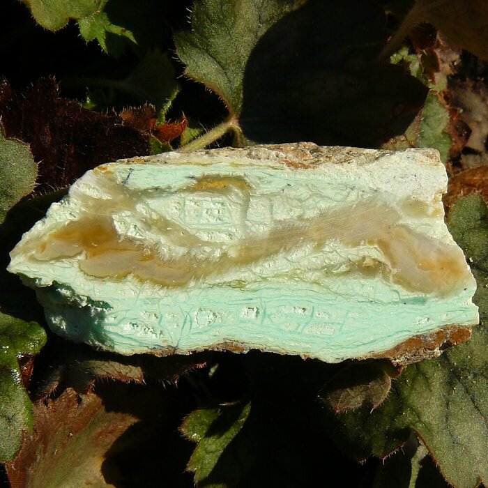 Chryzopras