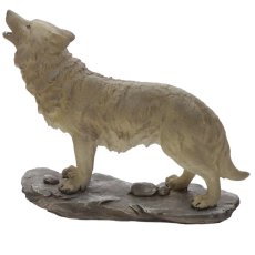 WOLF36 004 1644409993