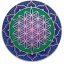 Mandala na sklo - Květ života