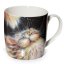 MUG374 001 1613401757
