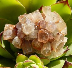 Krystal-Aragonit