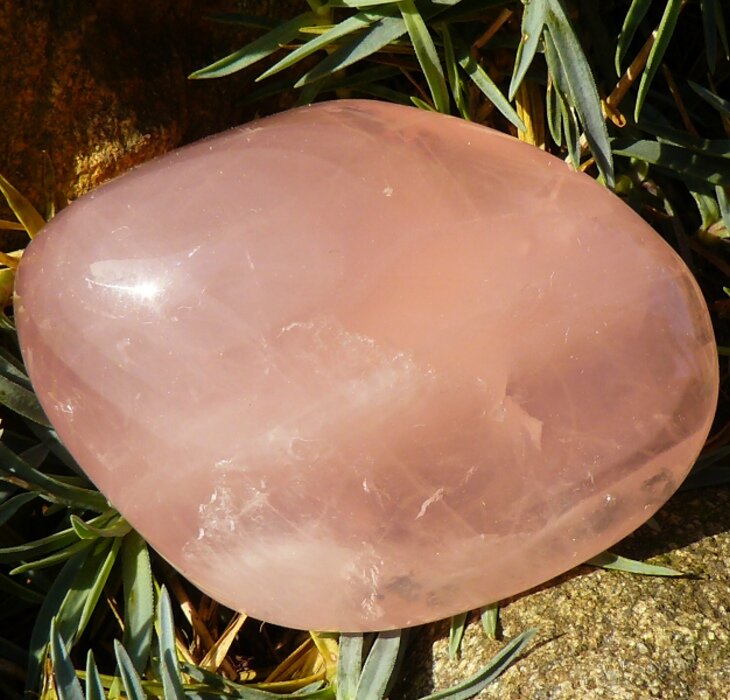 Růženín