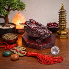 Feng Shui žába červená – Soška bohatství a prosperity