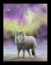 Leinwand Aura Wolf 1280x1280