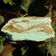 Chryzopras